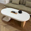 Asymmetrical Modern Coffee Table with Oval Top and Wood Base
