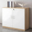 Minimalist Wood Lateral File Cabinet With Locking Storage
