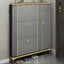 Modern Shoe Storage Cabinet with Adjustable Shelves & Metal Accents