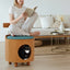 Solid Wood Cat Bed Stool With Curved Backrest and Teal Cushion Main Product Image