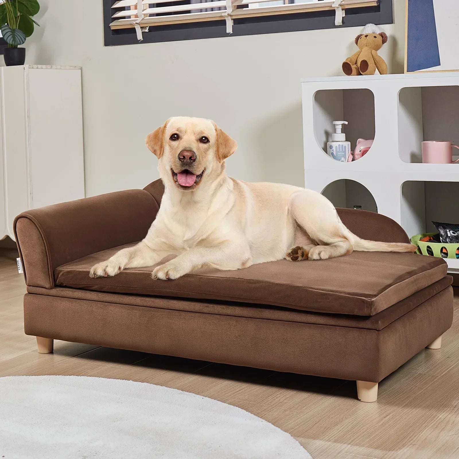 Is a Polyester Couch Good for Dogs? A Comprehensive Guide for Pet Owners