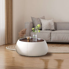 Light Luxury Modern Round Coffee Table with Storage