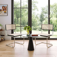 Rattan Dining Side Chair Set of 2 Stainless Steel Base