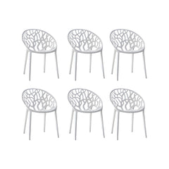 Scandinavian Style Plastic & Acrylic Sloped Arm Chair for Kitchen & Dining Dining Chairs