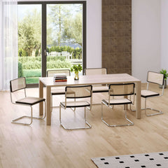 Rattan Dining Side Chair Set of 2 Stainless Steel Base