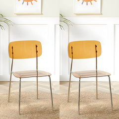 Contemporary Acrylic Dining Chair for Living Room and Kitchen Dining Chairs