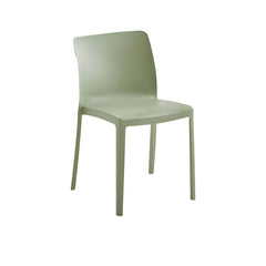 Scandinavian Plastic & Acrylic Kitchen & Dining Chair with Low Back Dining Chairs