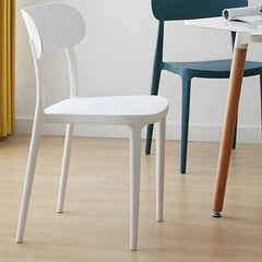 Modern Scandinavian Plastic & Acrylic Kitchen & Dining Chair Dining Chairs