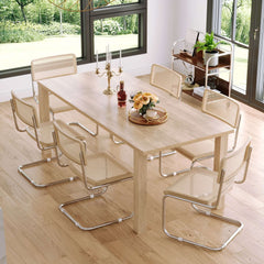 Rattan Dining Side Chair Set of 2 Stainless Steel Base