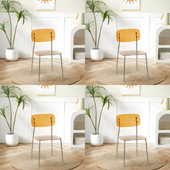 Contemporary Acrylic Dining Chair for Living Room and Kitchen Dining Chairs