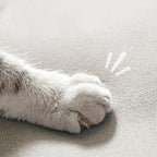 Convertible sofa sleeper with tufted back and polyester fiber upholstery