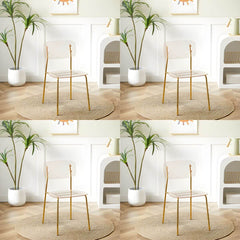 Contemporary Acrylic Dining Chair for Living Room and Kitchen Dining Chairs