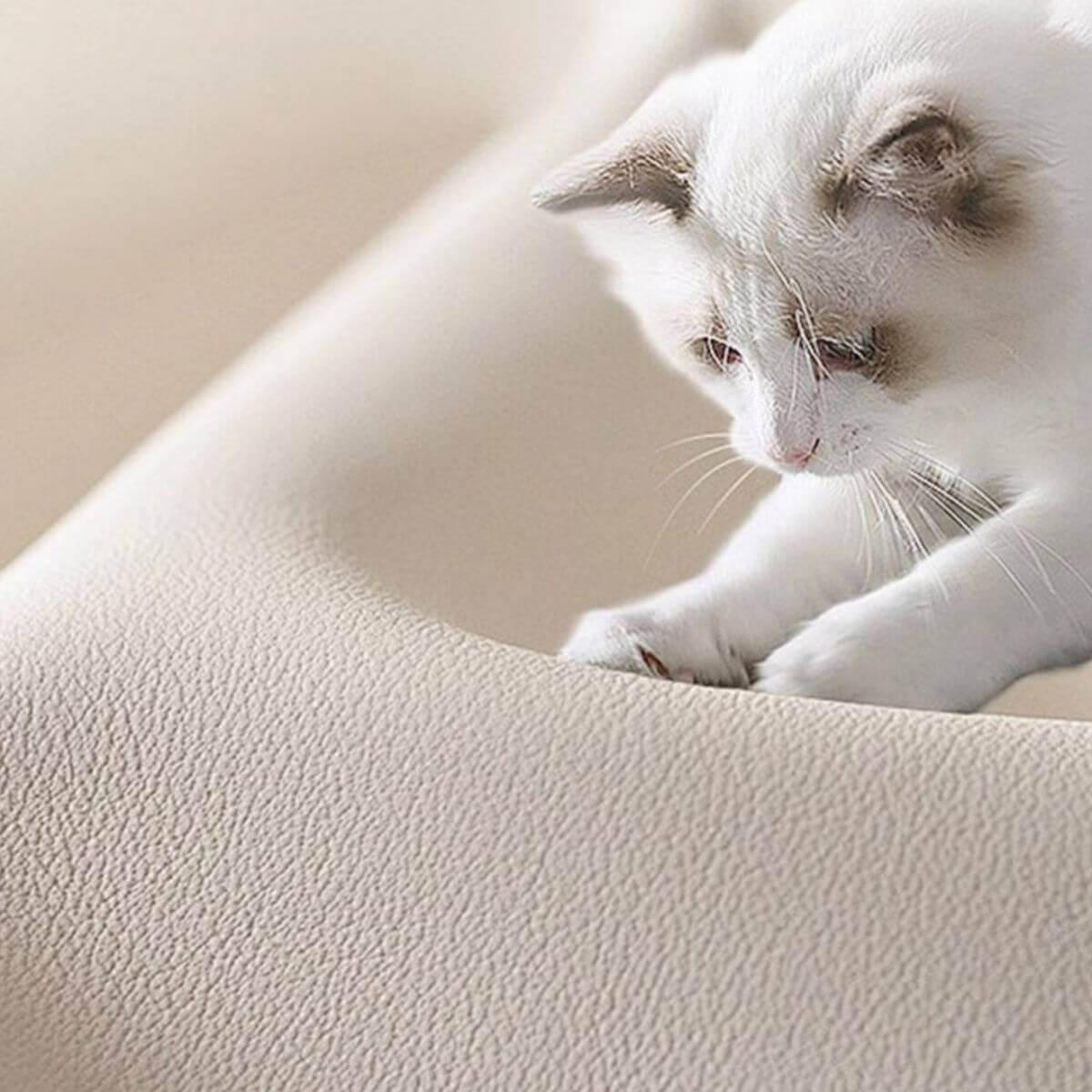 Light brown chaise chair with wood frame