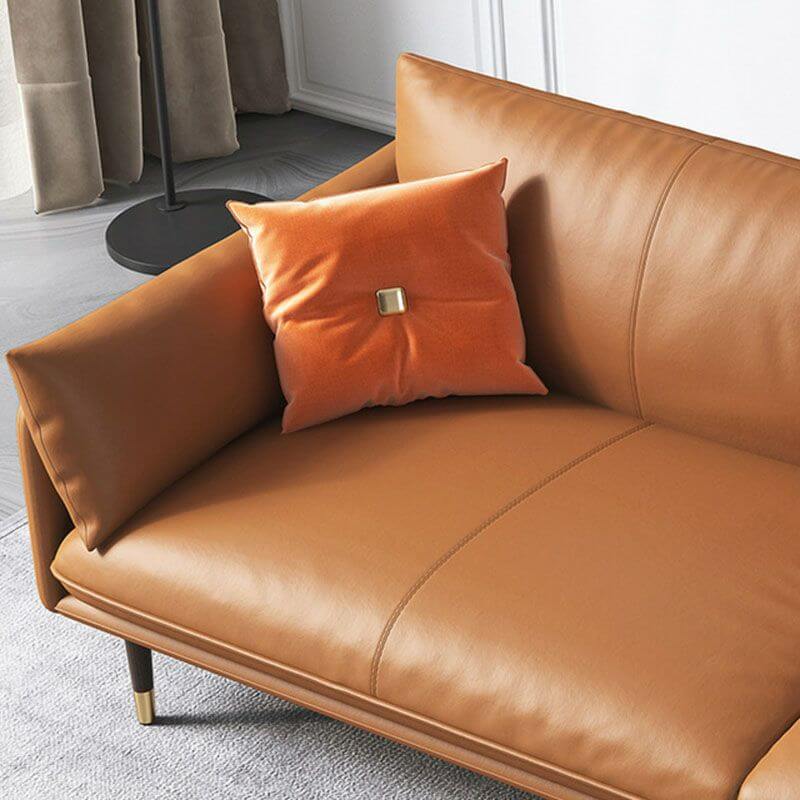 Comfortable seating area with the leather sofa