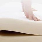 Stylish living room with Carnation Sofa