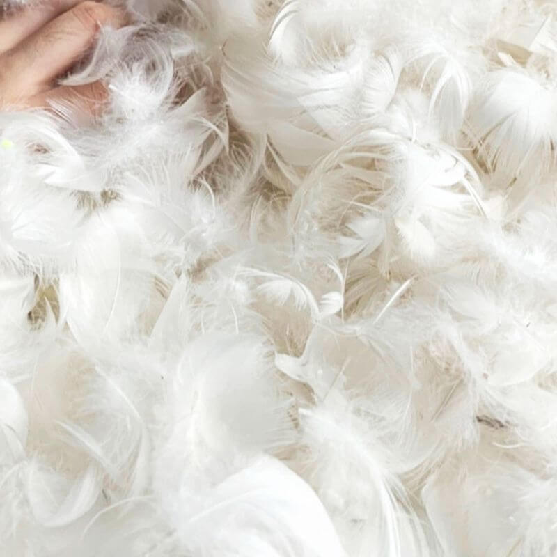 Versatile living room furniture