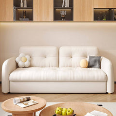 Convertible Sofa in living room