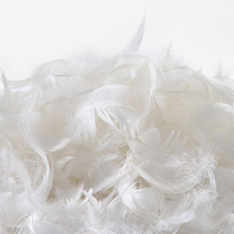 Stylish arm chair showcasing upholstery design