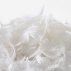 Stylish arm chair showcasing upholstery design