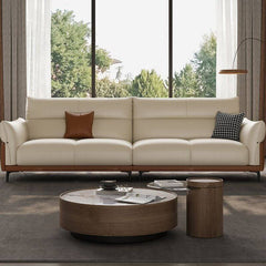 Elegant design of the solid color sofa