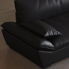 Decorative pillows on black sofa