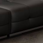 Stylish black upholstery sofa