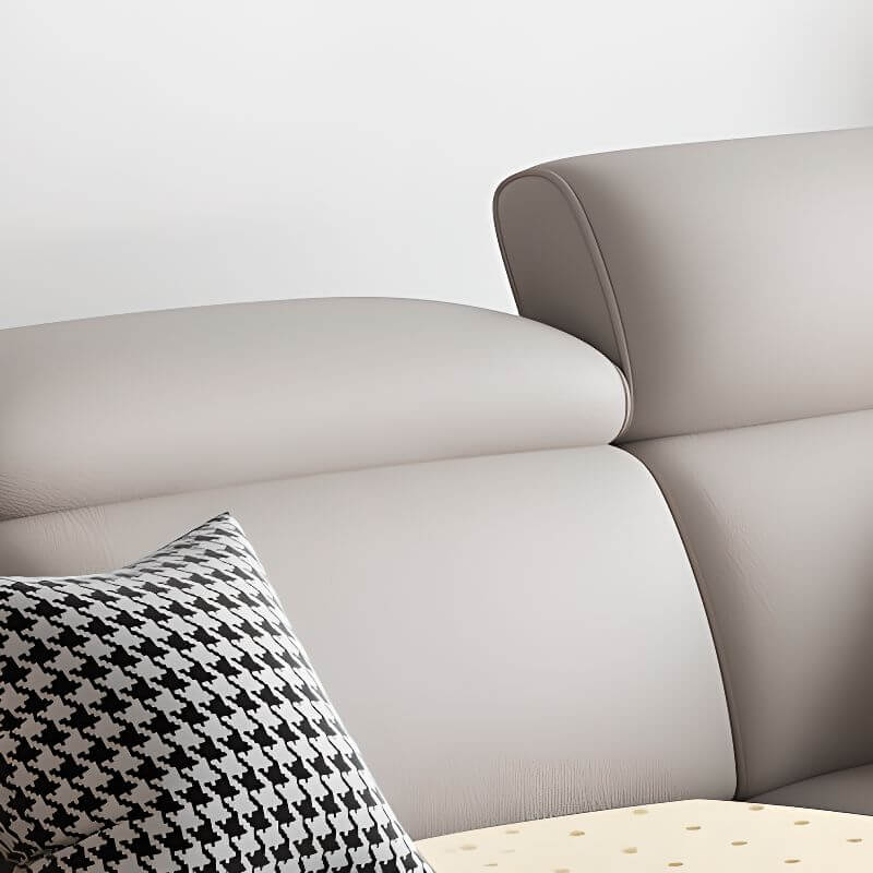 Contemporary sectional couch