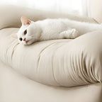 Close-up of Suede Upholstery