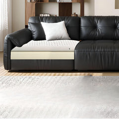 Black standard sofa in contemporary interior