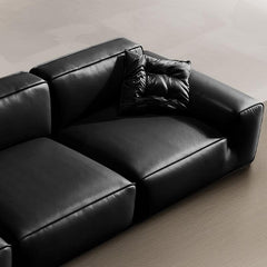 Elegant black sofa paired with modern decor