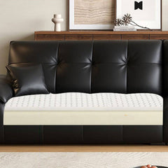 Chic midnight black sofa in modern decor