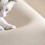 Dramatic green bean bag in modern interior