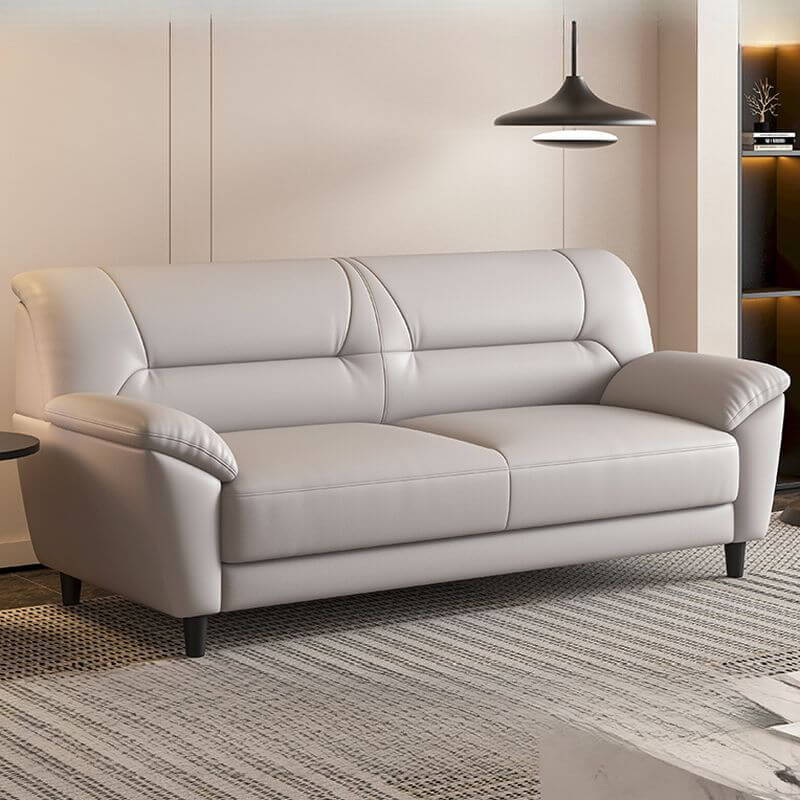 Dove grey sofa in modern living room