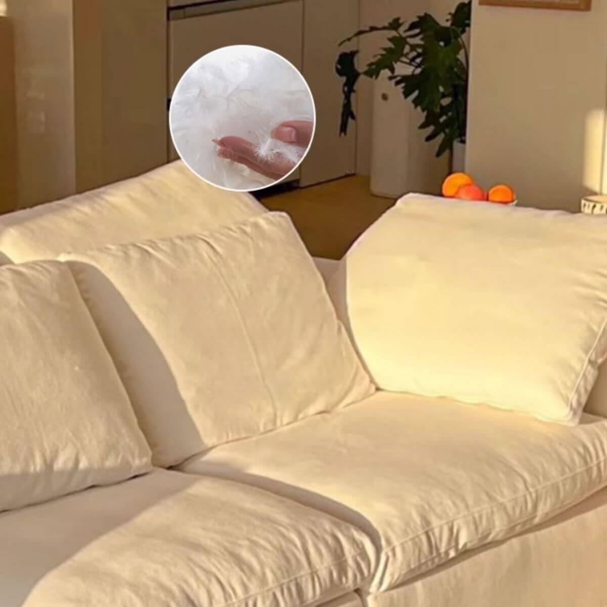 bright living room with slipcover sofa