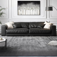 Cozy sofa set with cushions