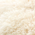 Contemporary solid color arm chair