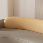 Elegant Modern Couch