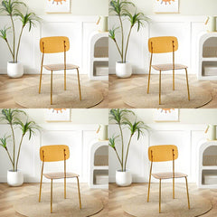 Contemporary Acrylic Dining Chair for Living Room and Kitchen Dining Chairs