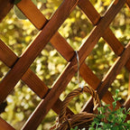 Arch-Back Outdoor Bench with Climbing Trellis in Solid Wood Finishes