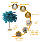 Art Deco Feather Table Lamp - LED Ambient Lighting with Natural Feathers