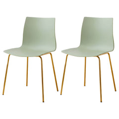 Modern Plastic & Acrylic Side Chair for Kitchen & Dining with Metal Legs Dining Chairs