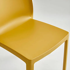Scandinavian Plastic & Acrylic Kitchen & Dining Chair with Low Back Dining Chairs