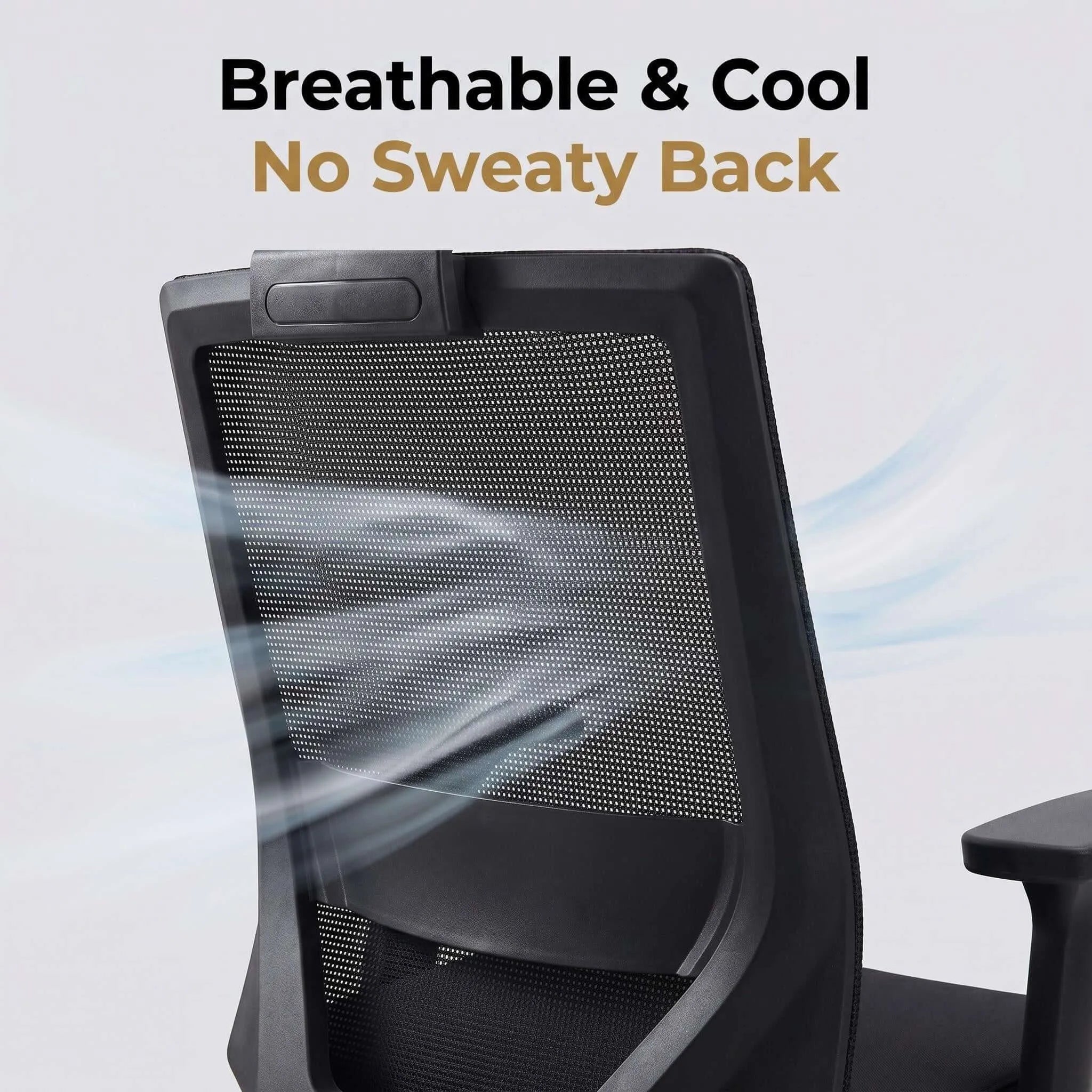 Crest Ergonomic Mesh Office Chair with Adjustable Headrest