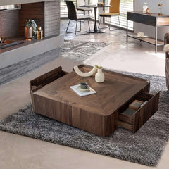 Modern Wooden Coffee Table with 2 Drawers