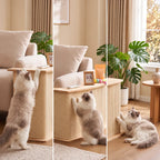 Geometric Boho Cat Scratcher Side Table With Solid Wood Storage Top