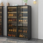 Glam White Shoe Cabinet with Frosted Glass Doors & LED Lighting