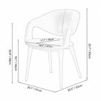 Italian Minimalist Dining Chair with Wraparound Arms and Slim Steel Legs Dimensions