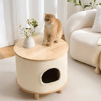 Japandi Multifunctional Pet-Friendly Coffee Table Nightstand Side Table