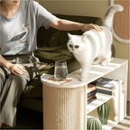 Japandi Sisal Cat Scratcher Side Table With Tiered Storage