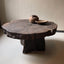 Live Edge Pedestal Coffee Table with Sculptural Root Base and Natural Wood Grain